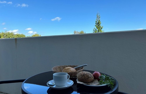 Bad Rothenfelde Apartment | Studio apartment with forest view at the Teutoburg Forest