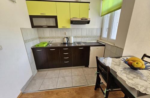 Duce Apartment | Studio apartment in Duce with sea view, balcony, air conditioning, WiFi 5067-6