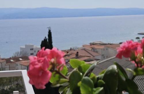 Duce Apartment | Studio apartment in Duce with sea view, balcony, air conditioning, WiFi 5067-6