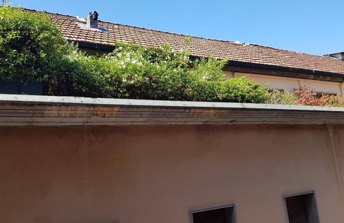 Cremona Apartment | Studio Apartment 'Otelia' with Wi-Fi and Air Conditioning