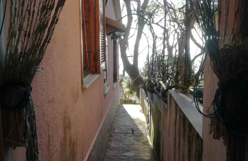 Marina di Maratea Apartment | Studio apartment surrounded by greenery in Marina di Maratea