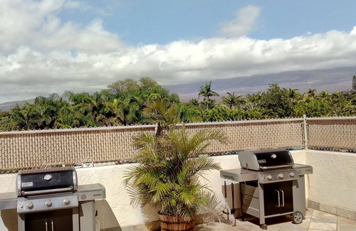 Kihei Apartment | Studio apt. with A/C, Fridge, Semi-Private pool in the Center of kihei