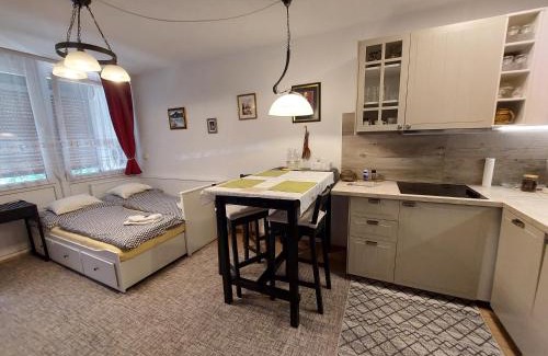 Bad Ischl Apartment | Studio bei Nussensee