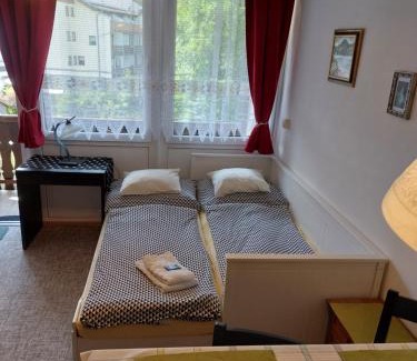Bad Ischl Apartment | Studio bei Nussensee