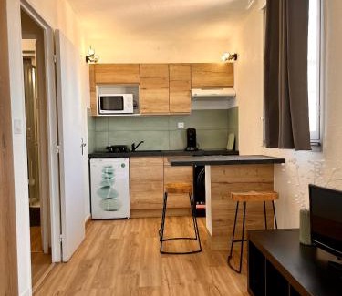 Mediterranee Apartment | Studio côté plage tout équipé vue sur le Canigou