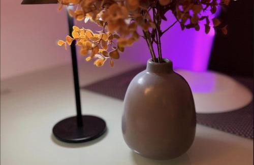 Mulhouse Apartment | Studio Design à Mulhouse