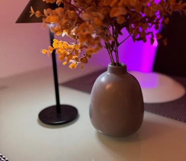 Mulhouse Apartment | Studio Design à Mulhouse