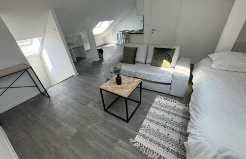 Mulhouse Apartment | Studio eucalyptus charmant élégant et fonctionnel Centre ville