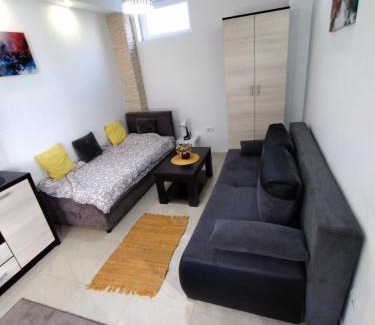 Kragujevac Apartment | Studio F100