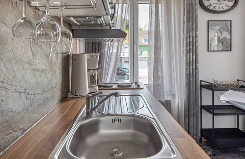 Breisach Apartment | Studio 'Falko' with Shared Terrace, Balcony and Wi-Fi