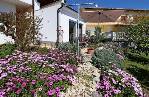 Suha Punta Apartment | Studio flat with terrace Suha Punta, Rab (AS-17239-a)