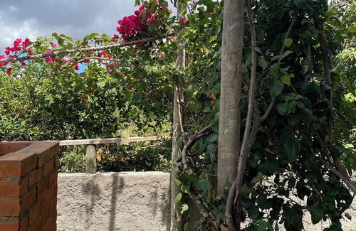 Praia Rasa Apartment | Studio house, suites