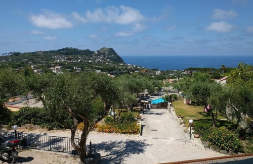 Succhivo Apartment | Studio-Large-Ensuite with Shower-Garden view