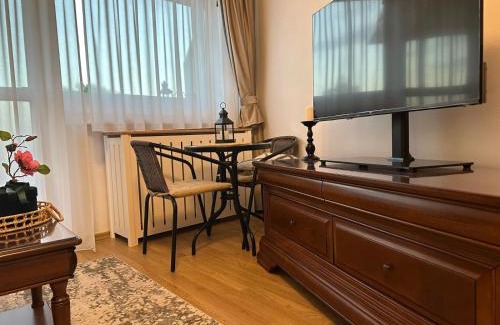 Alba Iulia Apartment | Studio PANORAMIC with Balcony and Parcul Unirii view