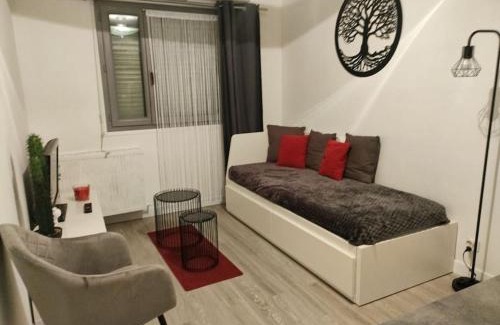 Beaulieu - Maladrerie - Saint-Paul Apartment | Studio & Parking privé proximité Hypercentre
