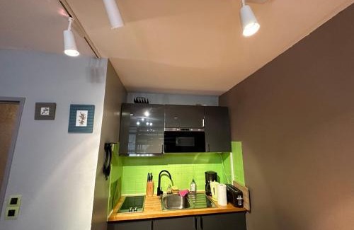 La Bresse Apartment | Studio situé au pied des pistes de LaBresse