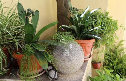 Herceg Novi Apartment | Studio Stari Grad