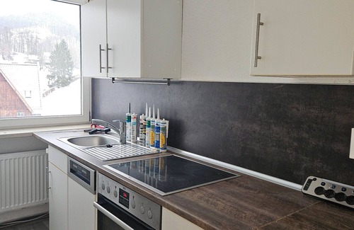 Sulzhayn Apartment | Studio 'Sülzhayn' with Mountain View and Balcony