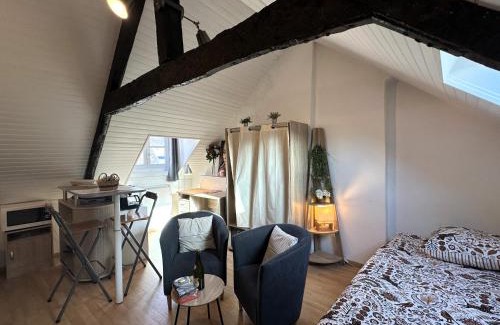Quimper Apartment | Studio Sur les Toits - Centre Historique