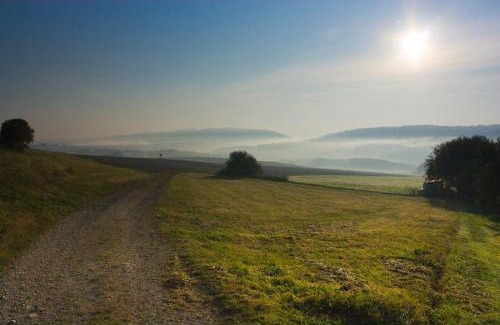 Geisfeld Apartment | Studiohaus Haus Roswitha