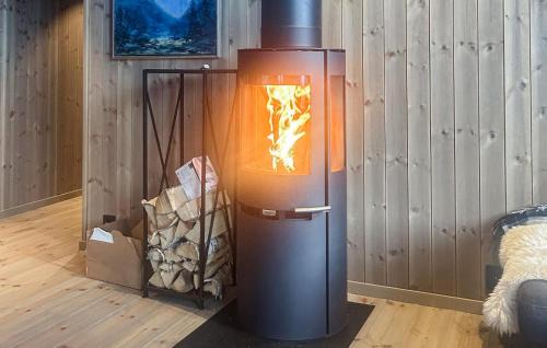 Fla Municipality House | Stunning Home In Flå With Sauna