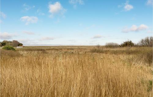 Klegod Strand House | Stunning Home In Ringkøbing With Sauna