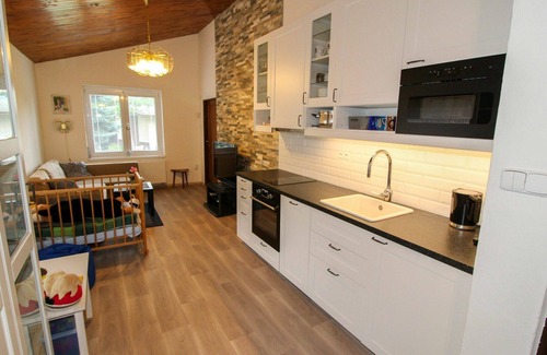 Desna House | Stunning private villa for 8 guests with WIFI, TV, terrace, pets allowed and panoramic view