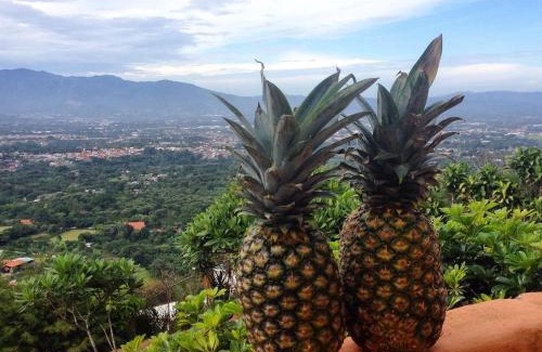 San Isidro House | Stunning Views from Coffee Country Villa - 25 min to SJO