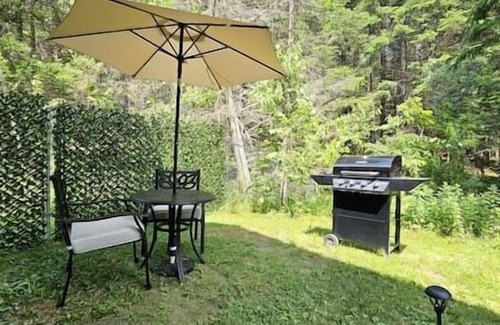 Old Town Apartment | Stylish Guest Suite - Close to Orono and Bangor!