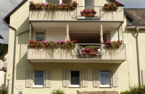 Spay House | Stylish holiday home right on the Rhine with a dream view