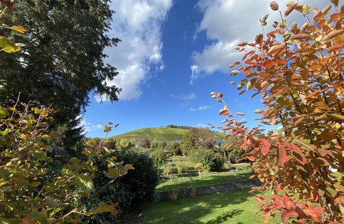 Winningen Condo | Stylish temporary living