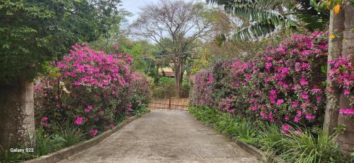 Salto House | Suíte Acessível na Chácara Refrigério
