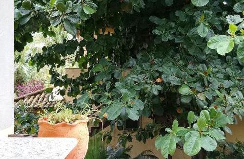 Porto Belo House | Suíte Quádrupla com vista para o mar