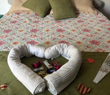 Socorro House | Suíte Refúgio das Suculentas Master Confort