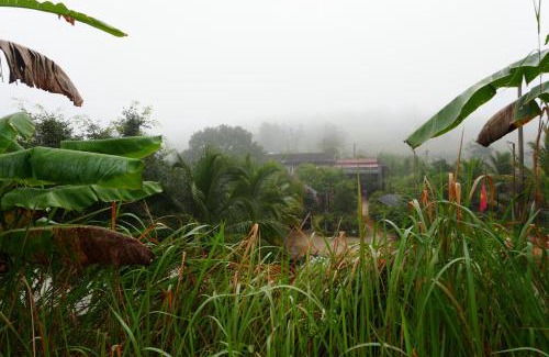 Gia Nghia House | Suối Xanh Garden