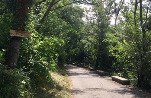 San Dorligo della Valle Bed & Breakfast | Su da noi