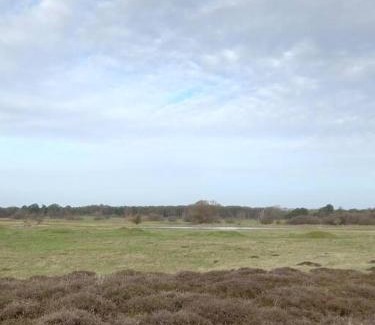 Tuddenham Apartment | Suffolk View Apartment