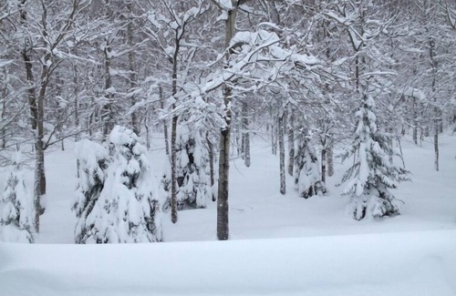 Carrabassett Valley Condo | Sugarloaf Mountainside Ski In/Ski Out, 3 Bedroom, 3 Bath Condominium