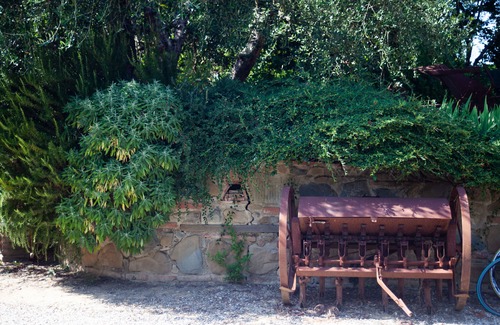 Vinci House | Suggestive holiday home surrounded by the green Tuscan countryside in Vinci