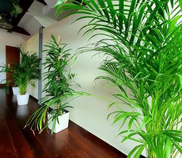 Zabierzow Apartment | Suite Loft