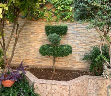 Daimiel Apartment | SUITE LUJOSO CON CHIMENEA