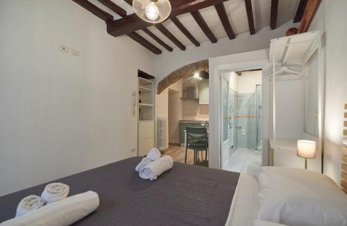 Old Town Apartment | Suite n14 - Open space in the heart of the city