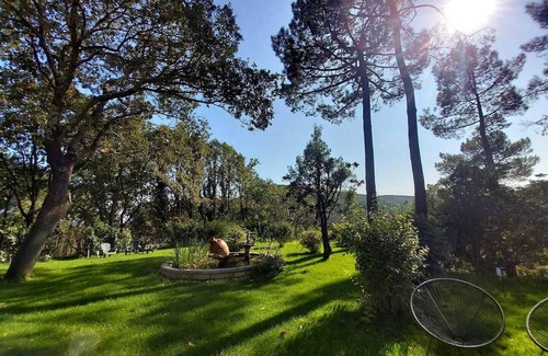 Saint-Jean-du-Pin House | Suite with whirlpool bath in the heart of the Cevennes mountains