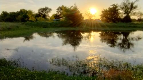 Wills Point Other | Summer Breeze RV Park