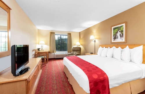 Summerset Hotel | Summerset Hotel & Suites