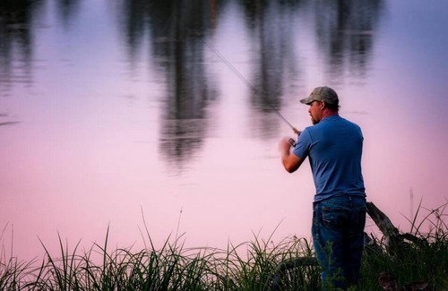 Custer House | Sun Filled Cabin Pond-Views BHBungalows #8