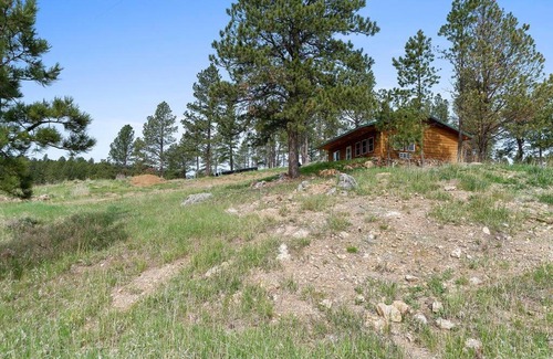 Custer House | Sun Filled Cabin Pond-Views BHBungalows #8