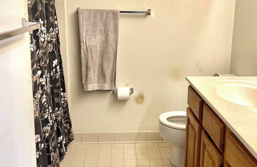 Northeast Apartment | Sunfilled studio space with Laundry and WiFi in charming DC