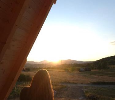 Zlatibor House | Sunflower House Radoinja