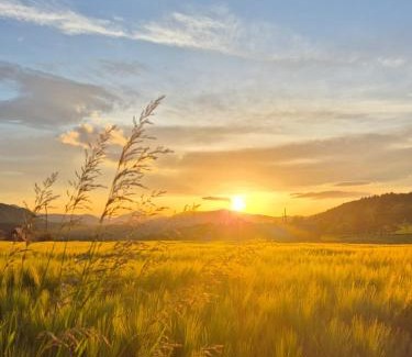 Zlatibor House | Sunflower House Radoinja